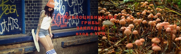 спиды Елизово