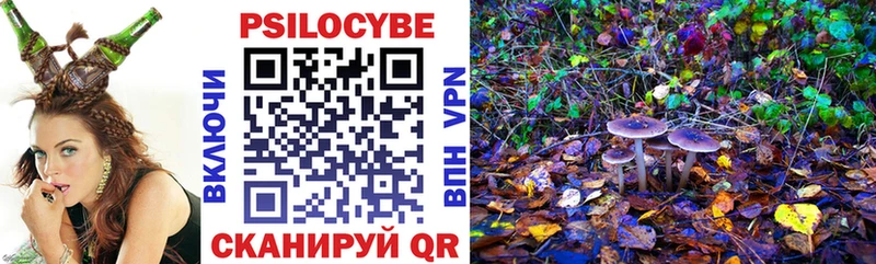 Псилоцибиновые грибы Cubensis  Купить где  Райчихинск 